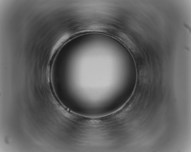 X0000099231180200804241447