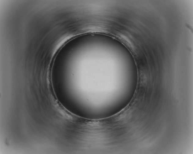 X0000099231182200804241447