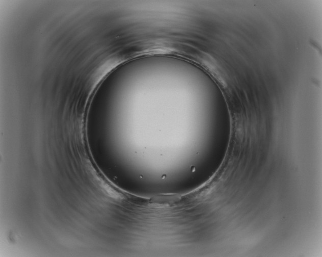 X0000099231186200804241447
