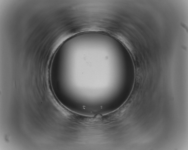 X0000099231187200804241447