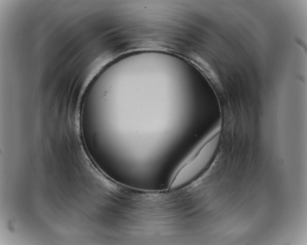X0000099231188200804241447