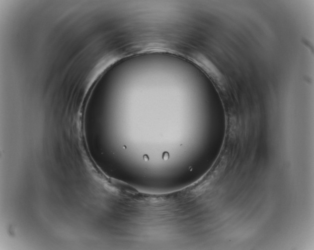 X0000099231190200804241446
