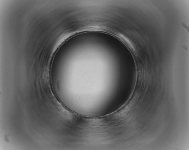 X0000099231192200804241446