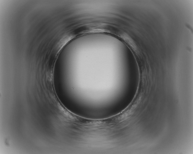 X0000099231193200804241446