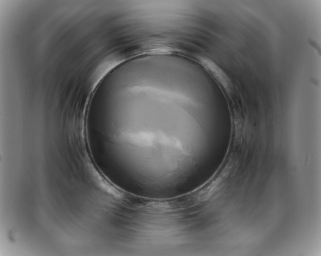 X0000099231194200804241446