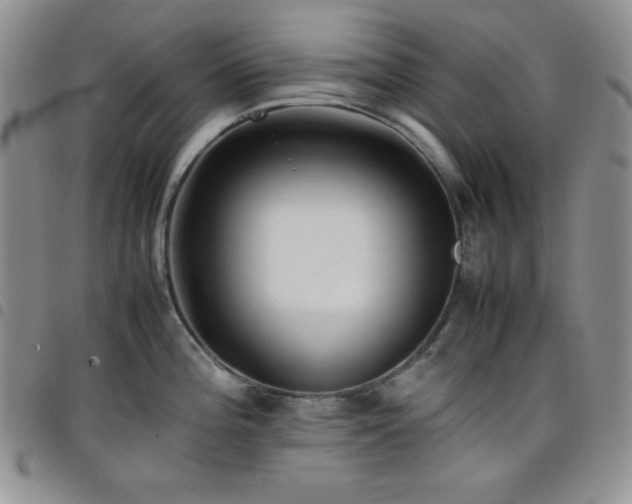 X0000099231196200804241446