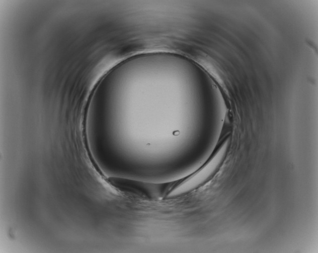 X0000099231197200804241446