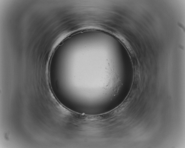 X0000099231199200804241446
