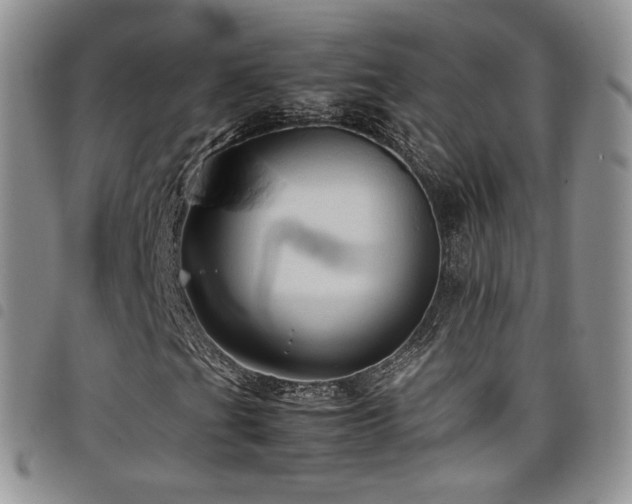 X0000099231201200804241446