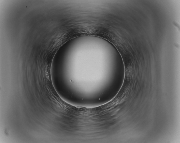 X0000099231202200804241446