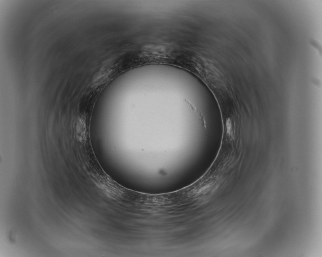 X0000099231203200804241446