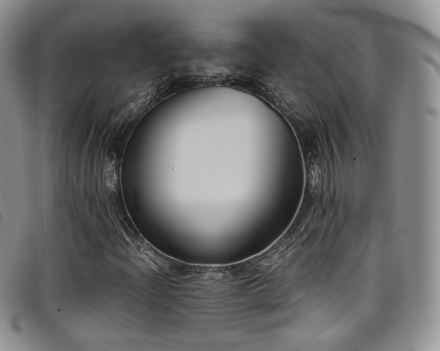 X0000099231204200804241446