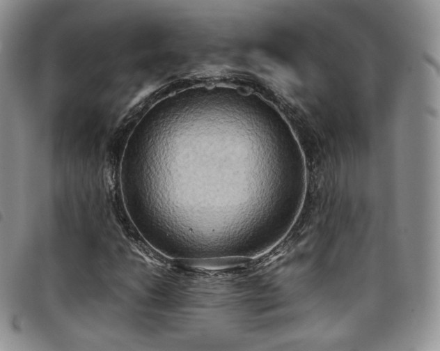 X0000099231206200804241446