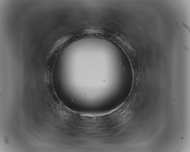 X0000099231207200804241446