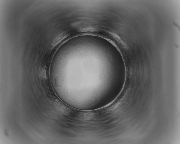 X0000099231209200804241446