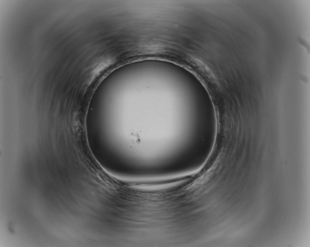 X0000099231210200804241446