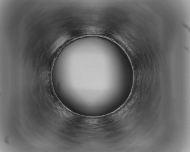 X0000099231211200804241446