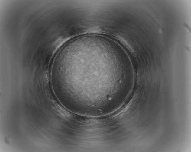 X0000099231212200804241446