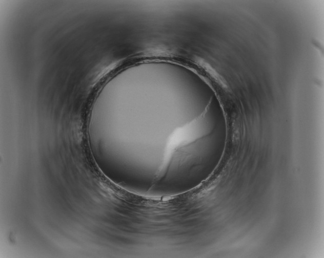 X0000099231213200804241446