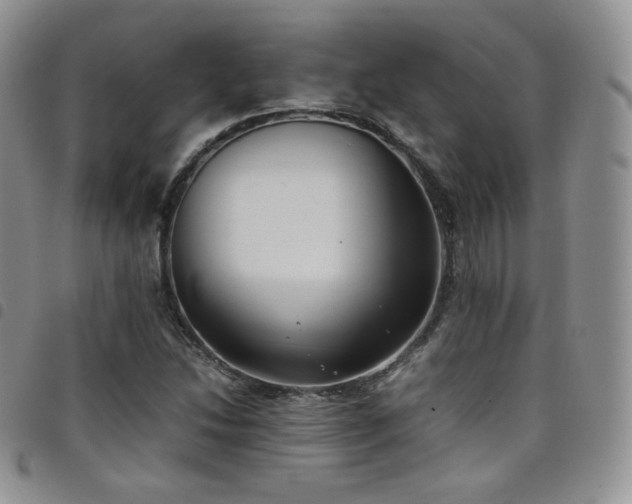 X0000099231214200804241446