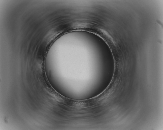 X0000099231217200804241446