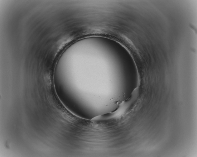 X0000099231218200804241446