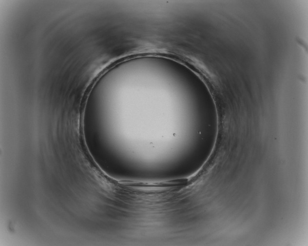X0000099231220200804241446