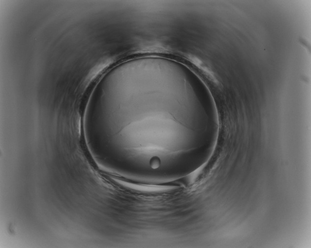X0000099231221200804241446