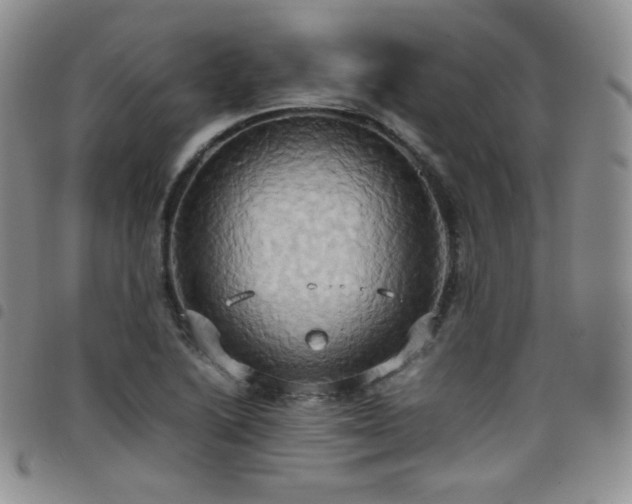 X0000099231222200804241446