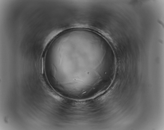 X0000099231223200804241446