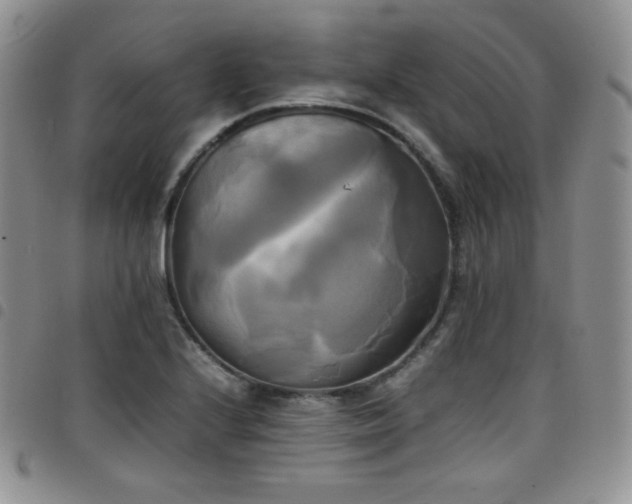 X0000099231224200804241446
