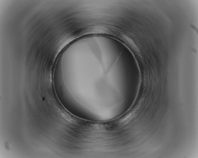 X0000099231226200804241446