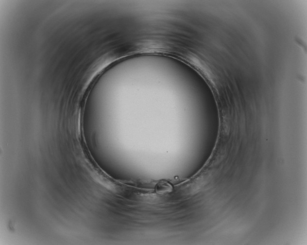 X0000099231227200804241446