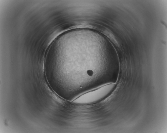 X0000099231228200804241446