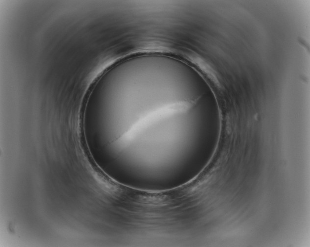X0000099231229200804241446