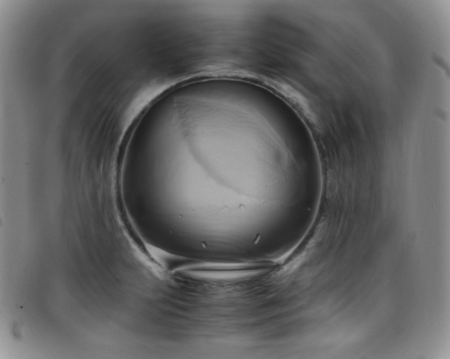 X0000099231231200804241446