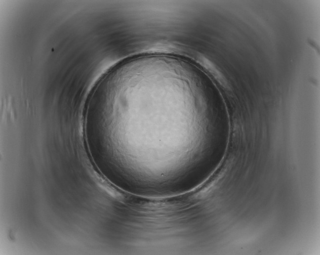X0000099231232200804241446