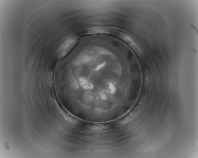 X0000099231233200804241446