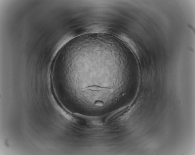 X0000099231235200804241446