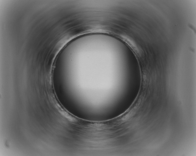 X0000099231236200804241446