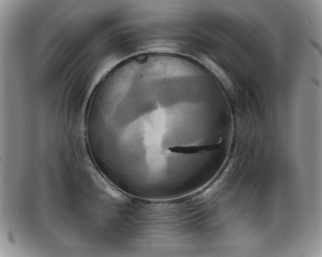 X0000099231240200804241446