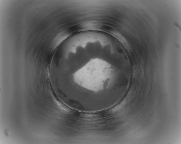 X0000099231241200804241446