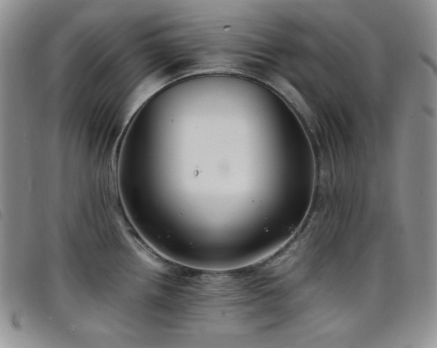 X0000099231242200804241446