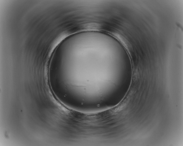 X0000099231243200804241446