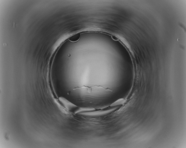 X0000099231245200804241446