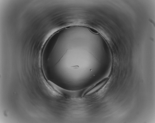 X0000099231246200804241446