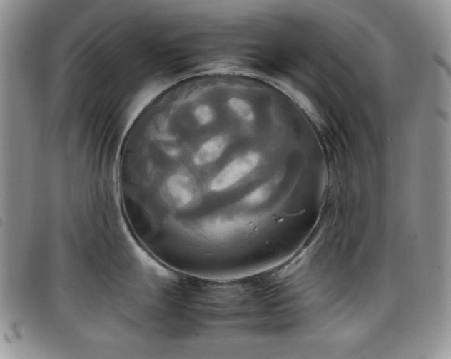 X0000099231247200804241446