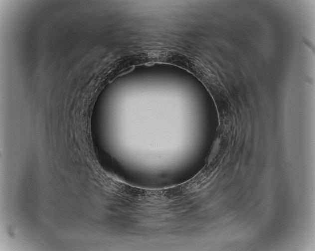 X0000099231249200804241446