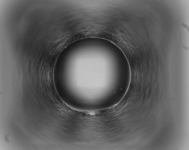 X0000099231250200804241446