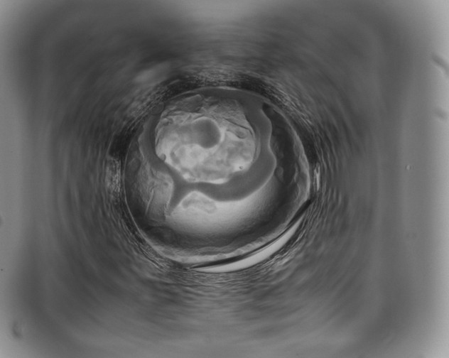 X0000099231251200804241446